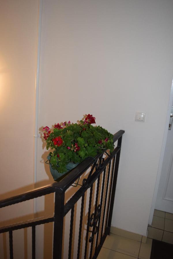 Nadja Apartment โนวีซาด ภายนอก รูปภาพ