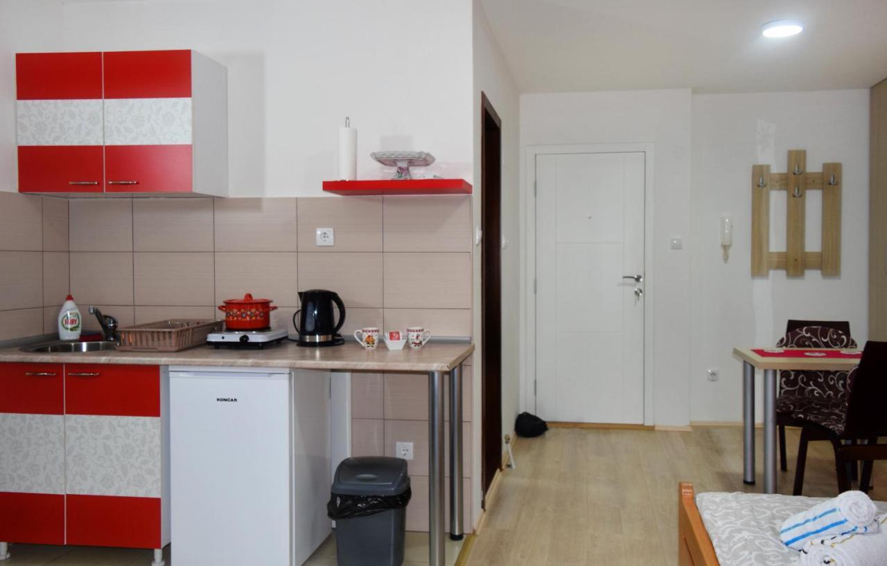 Nadja Apartment โนวีซาด ภายนอก รูปภาพ