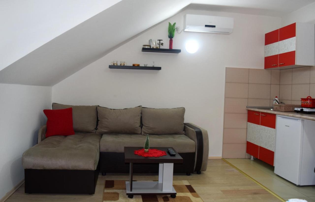 Nadja Apartment โนวีซาด ภายนอก รูปภาพ
