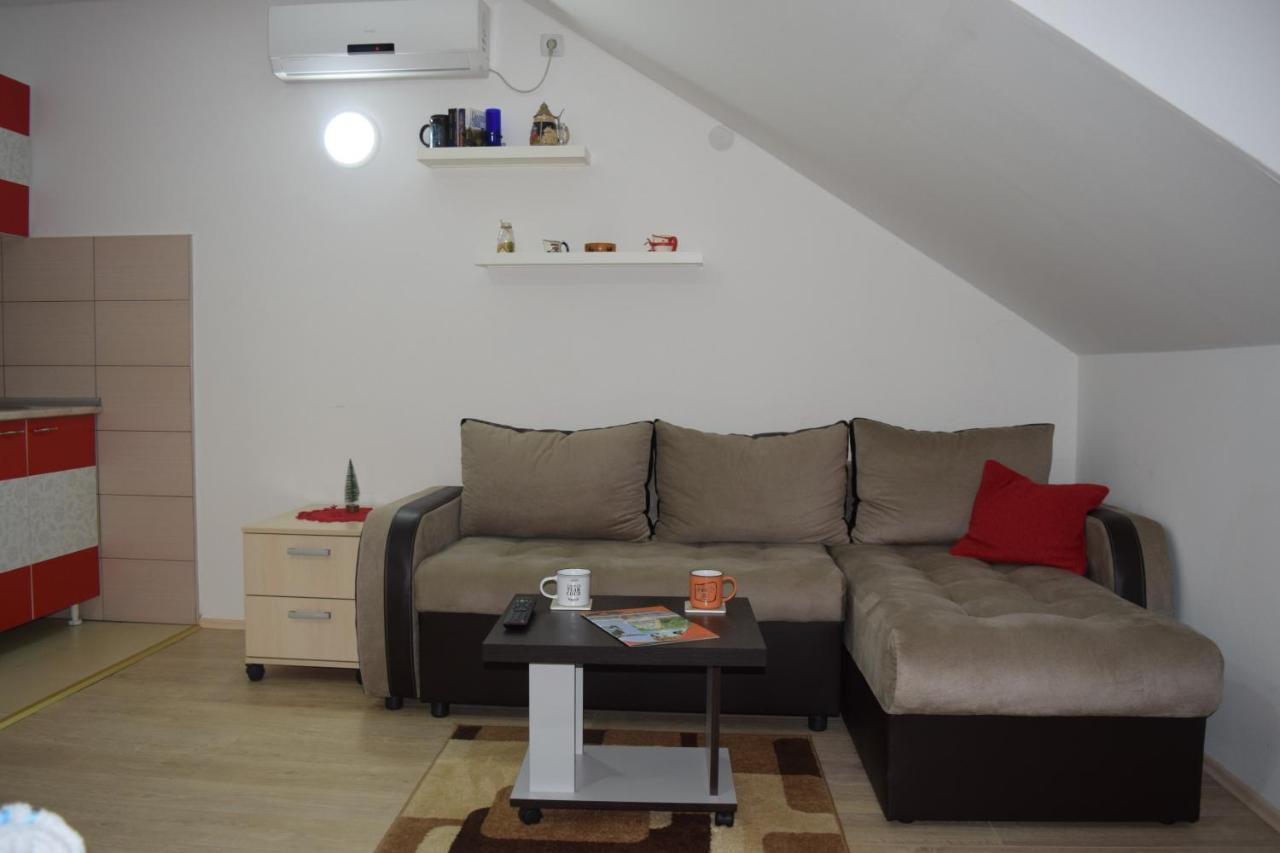 Nadja Apartment โนวีซาด ภายนอก รูปภาพ